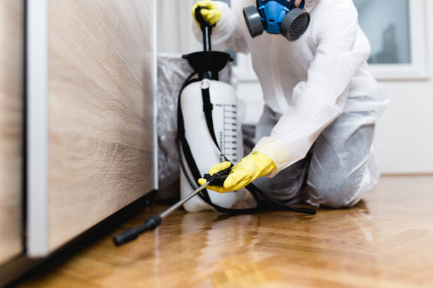 Professional Pest Control in Medina, MN