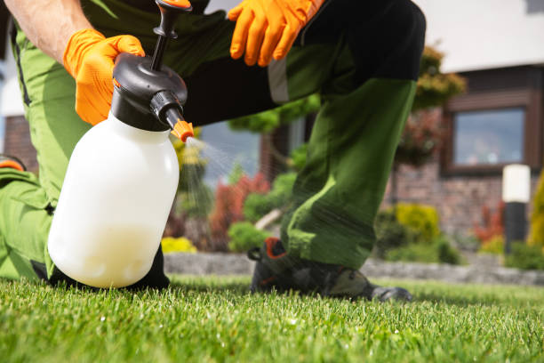 Best Flea Control Services  in Medina, MN