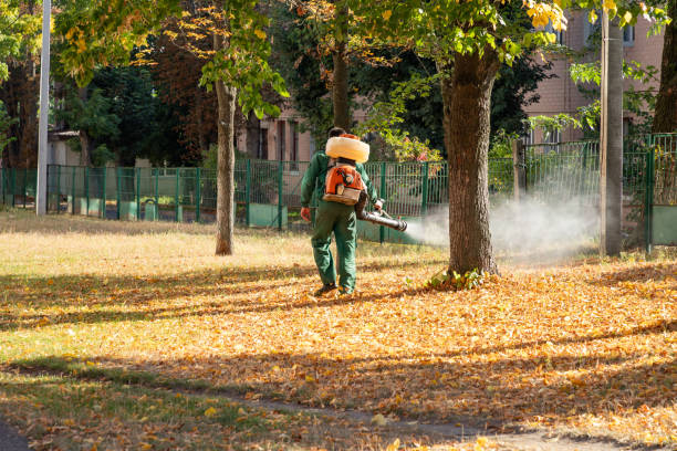 Best Wasp Removal Services  in Medina, MN